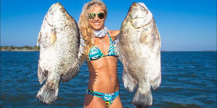 2 RECORD BREAKING Fish on ULTRA Light Tackle! Catch Clean Cook- GIANT Tripletail!