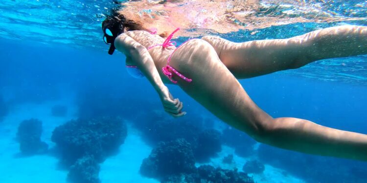 AMAZING Reef DIVE in the Cayman ISLANDS!
