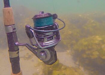 BAD IDEA? Fishing with Saltwater Submerged Reel