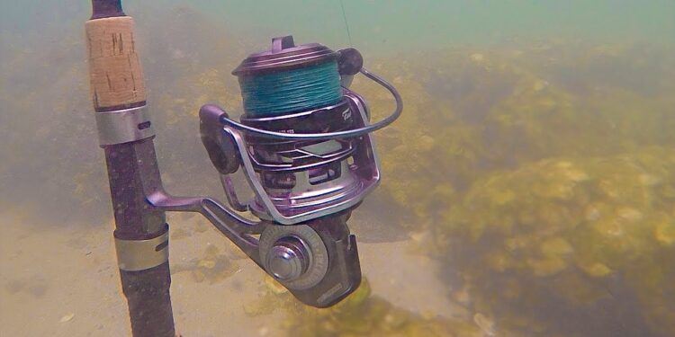 BAD IDEA? Fishing with Saltwater Submerged Reel