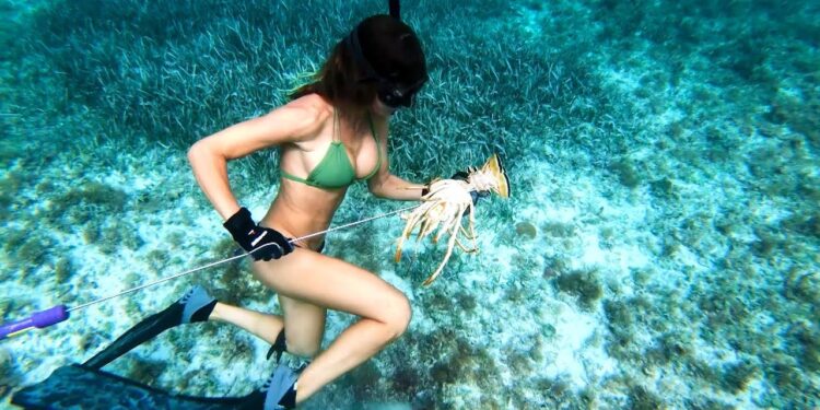 BAHAMAS Fishing and Diving Pt1