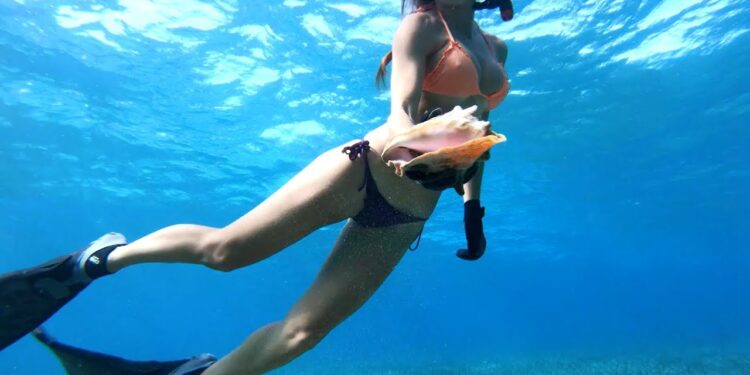BAHAMAS Fishing and Diving Pt2