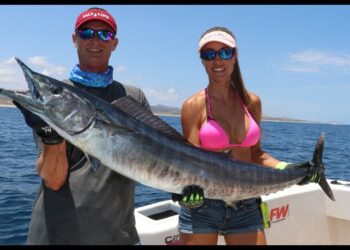 BAJA Bluewater – Livin’ the Dream