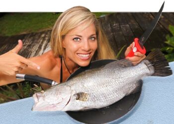 BARRAMUNDI Catch Clean Cook in Florida