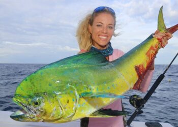 BEST Dolphin Catch and Cook (Mahi Mahi, Dorado)