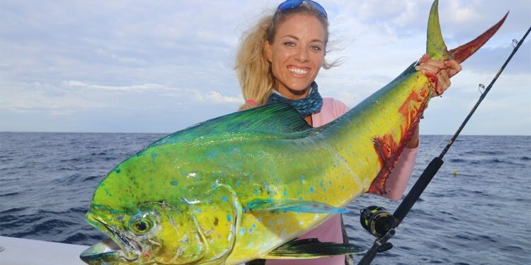 BEST Dolphin Catch and Cook (Mahi Mahi, Dorado)