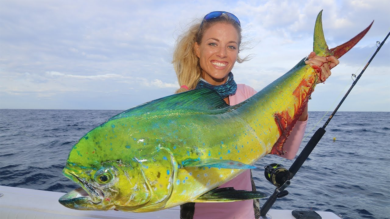 Best Dolphin Catch And Cook Mahi Mahi Dorado Girl Fishing