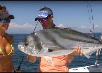 BIG Costa Rican Roosterfish in the Osa Peninsula! – Livin the Dream
