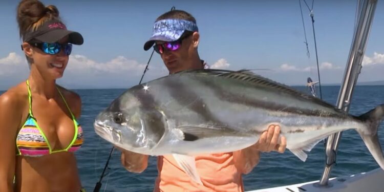 BIG Costa Rican Roosterfish in the Osa Peninsula! – Livin the Dream