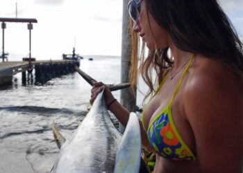 BIG FISH offshore action in paradise