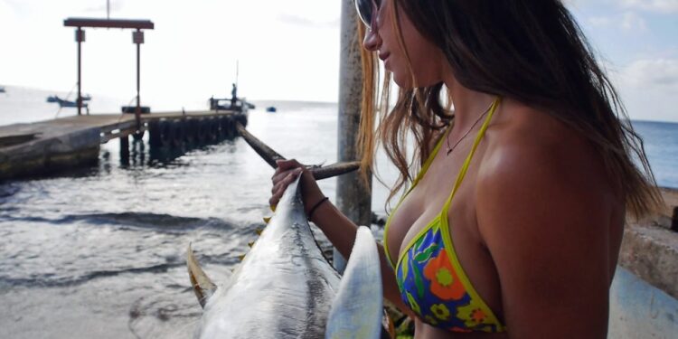 BIG FISH offshore action in paradise