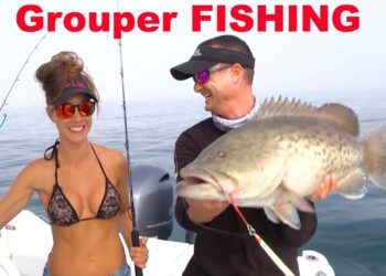 BIG Grouper caught on vertical jig