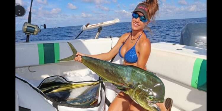 BIG MAHI Fishing in the ISLANDS!