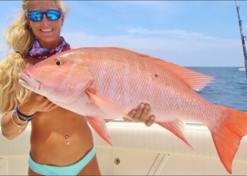 BIG Mutton & Grouper Wreck Fishing the Florida Keys