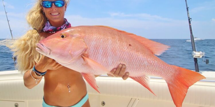 BIG Mutton & Grouper Wreck Fishing the Florida Keys