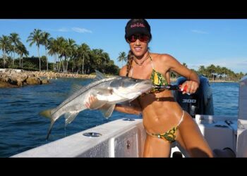 BIG SNOOK fishing in south Florida