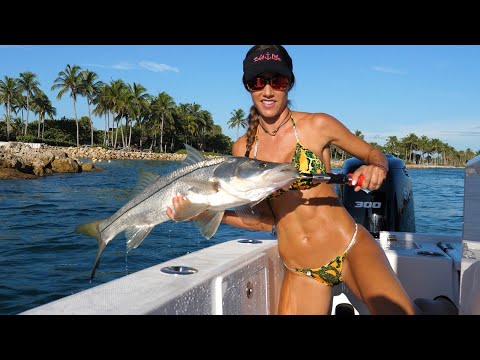 BIG SNOOK fishing in south Florida