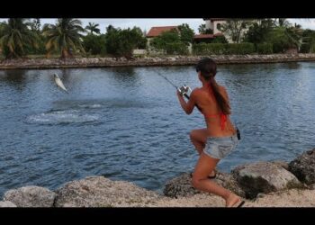 BIG TARPON in the Cayman Islands