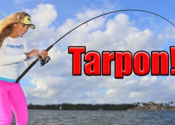 BIG fish, TINY lure! Florida Inshore Fishing for HUGE Tarpon!