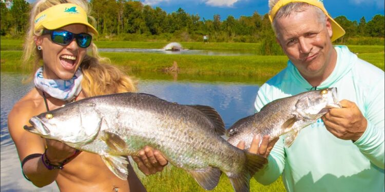 Barramundi FARM FISHING Challenge! Darcizzle vs. Puddin
