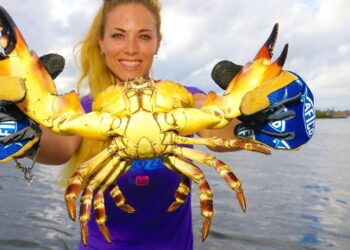 Best HOW TO Make & Set Stone Crab Traps Video
