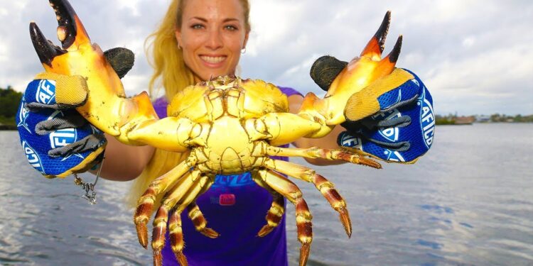 Best HOW TO Make & Set Stone Crab Traps Video