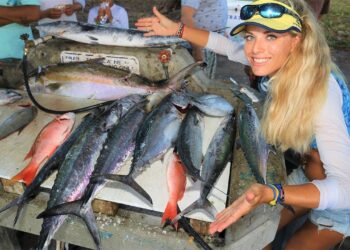 Best MIAMI Deep Sea Drift Boat Fishing