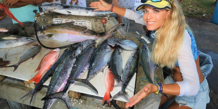 Best MIAMI Deep Sea Drift Boat Fishing