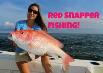 Best of Venice, Louisiana RED SNAPPER fishing part 1