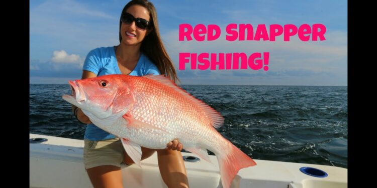 Best of Venice, Louisiana RED SNAPPER fishing part 1