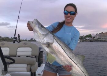 CATCHING BIG Snook with Live Bait