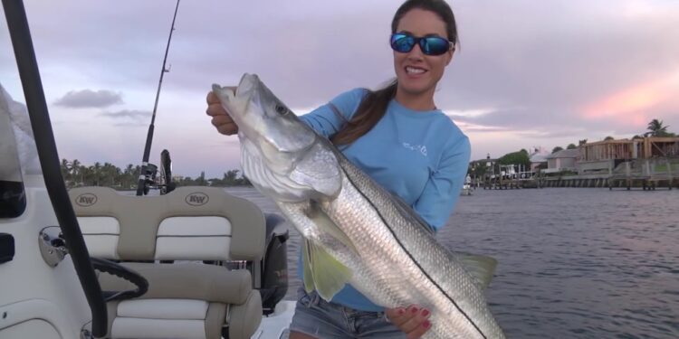 CATCHING BIG Snook with Live Bait
