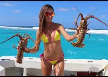 CAYMAN ISLANDS Fishing & Diving Adventures!