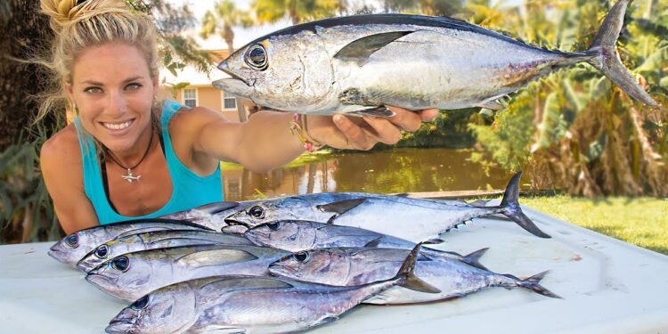 Catch Your Own SUSHI! Deep Sea Fishing Video