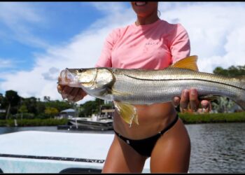Catching Little SNOOK