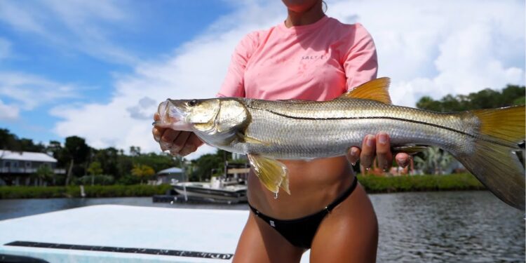 Catching Little SNOOK