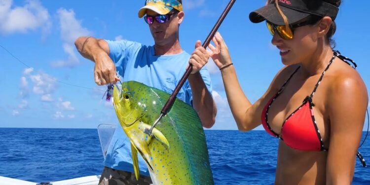 Catching MAHI in ISLAMORADA, FLORIDA