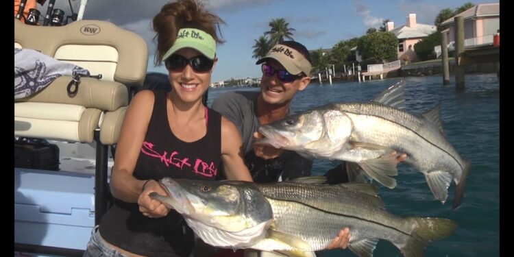 Catching MONSTER SNOOK in FLORIDA!