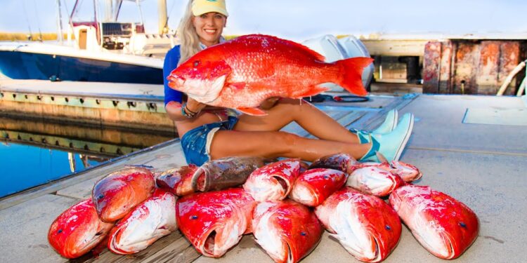 Caught Our Limit of Giant RED SNAPPER! Catch Clean Cook! Deep Sea Adventure (Gulf of Mexico Fishing)