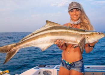 Deep Sea COBIA Fishing! {Catch Clean & Cook} Fish Steaks on the BBQ! Stuart Florida Fishing!