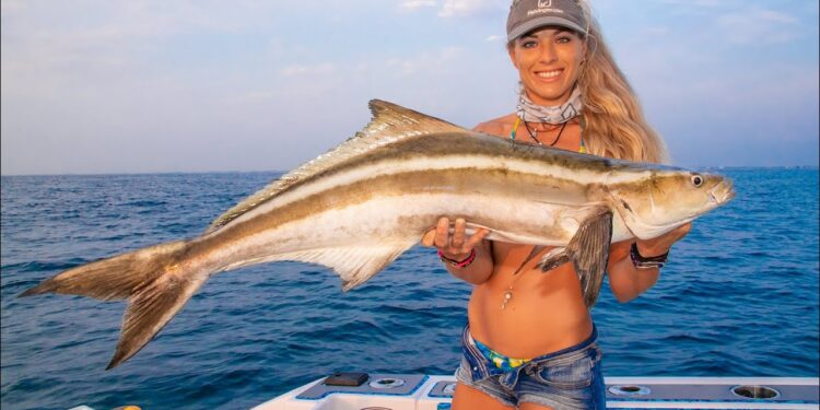 Deep Sea COBIA Fishing! {Catch Clean & Cook} Fish Steaks on the BBQ! Stuart Florida Fishing!