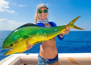 Deep Sea DOLPHIN- Catch Clean Cook! (Mahi Mahi, Dorado) Stuart Florida Fishing!