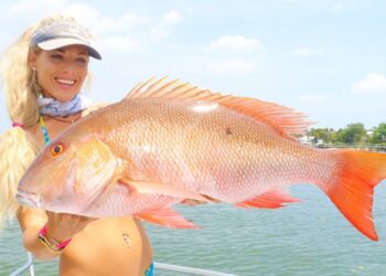 Deep Sea GIANT MUTTON SNAPPER Catch Clean & Cook! (WIN A FISHING TRIP WITH ME!)