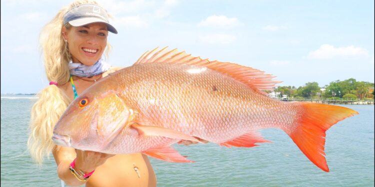 Deep Sea GIANT MUTTON SNAPPER Catch Clean & Cook! (WIN A FISHING TRIP WITH ME!)