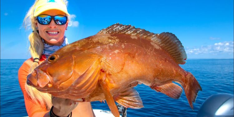 Deep Sea Red Grouper! Catch Clean Cook! GROUPER CHEEKS! Deep Sea Adventure (Gulf of Mexico Fishing)
