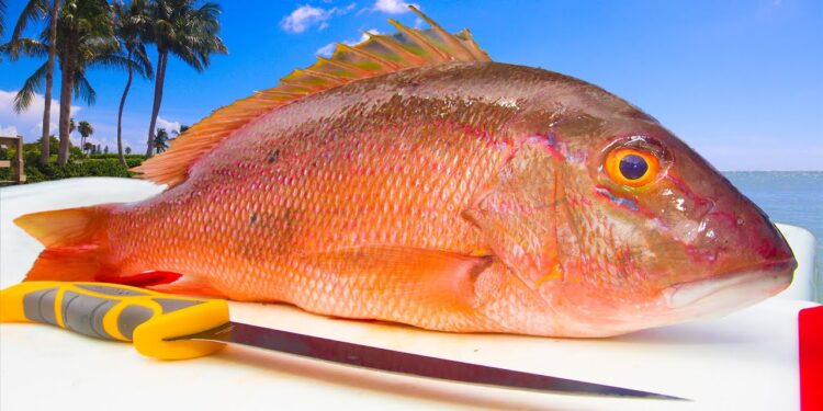 Deep Sea Snapper Fishing: Easy & HEALTHY Fish Recipe! Catch Clean Cook