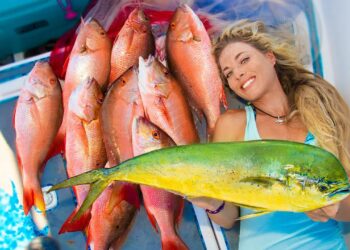 Deep Sea WRECK FISHING off Florida Coast! Catching our Dinner For Weeks! (Stuart Florida Fishing)