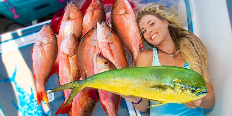 Deep Sea WRECK FISHING off Florida Coast! Catching our Dinner For Weeks! (Stuart Florida Fishing)