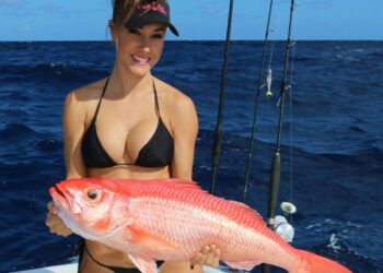 Deep dropping for QUEEN SNAPPER in the Florida Keys fishing video