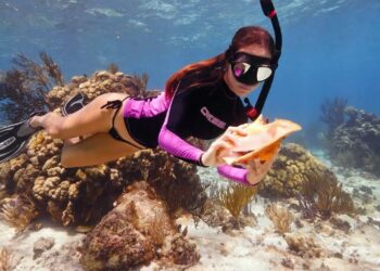 Diving for CONCH in the Cayman Islands